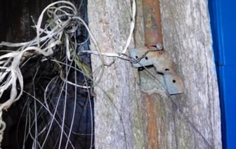 Трагедия в деревне Рачково: женщина погибла от удара током