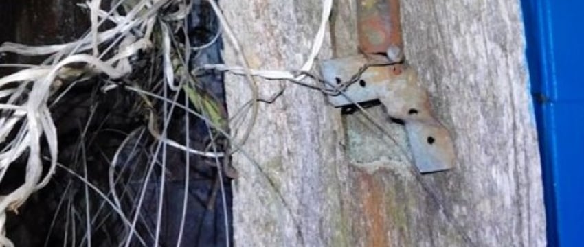 Трагедия в деревне Рачково: женщина погибла от удара током