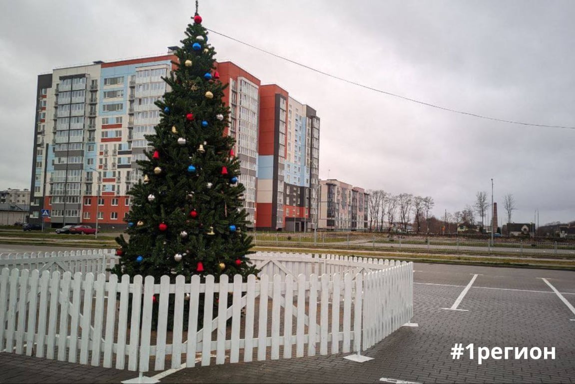 Рассказываем, где ещё в Бресте установили новогодние ёлки
