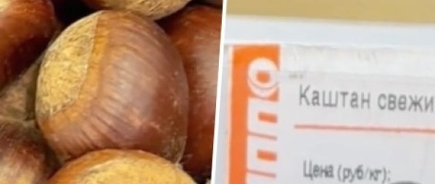 В магазины завезли недешевые каштаны