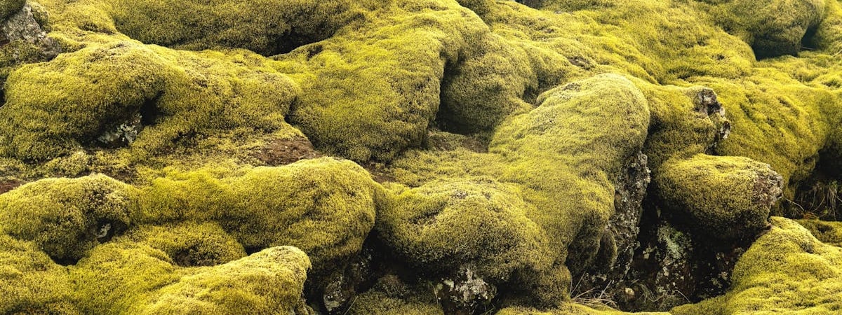 На рост цен в Беларуси повлияли российские факторы - МАРТ