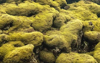 На рост цен в Беларуси повлияли российские факторы - МАРТ