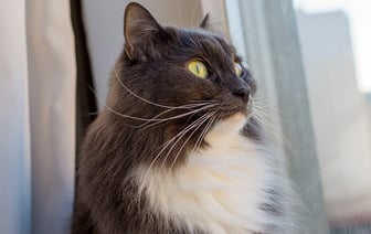 В Витебске резко похолодало сразу на 10 градусов, а завтра ждут грозу