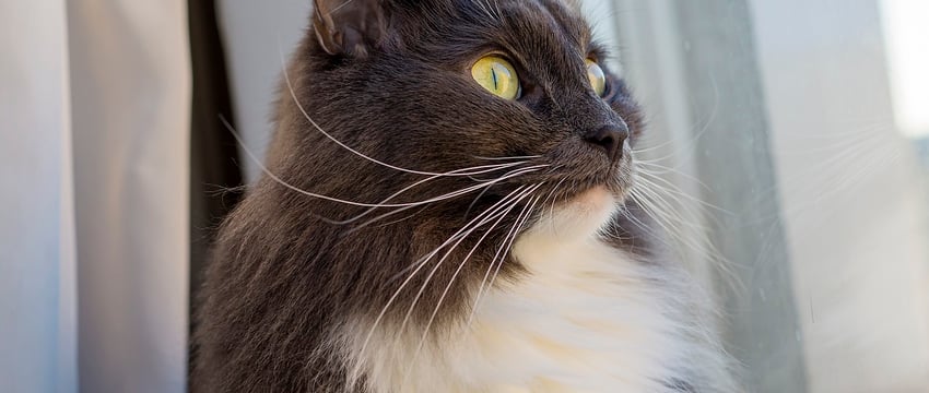 В Витебске резко похолодало сразу на 10 градусов, а завтра ждут грозу