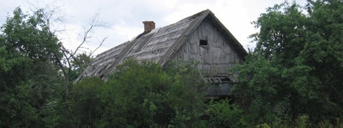 Деревни умирают стоя. Населенных пунктов в Беларуси становится все меньше