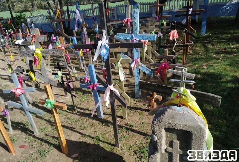 Жители Каменецкого района несут кресты к дереву, под которым, по легенде, деревенской девочке явилась Божья Матерь