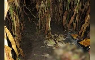 Незаконная охота обернулась трагедией. Мужчина погиб от огнестрельного ранения в Лунинецком районе