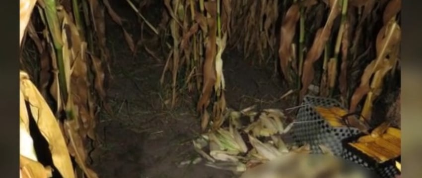 Незаконная охота обернулась трагедией. Мужчина погиб от огнестрельного ранения в Лунинецком районе