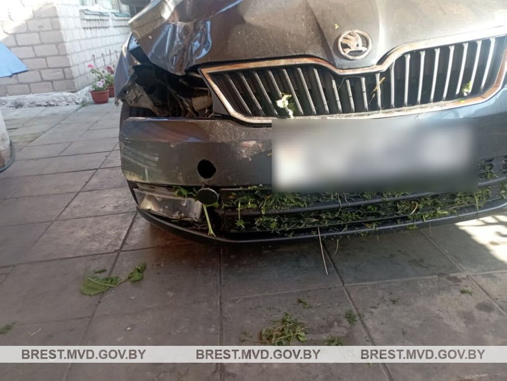 Пьяный мужчина нашел незапертую машину во дворе частного дома и угнал ее - случай в Брестской области