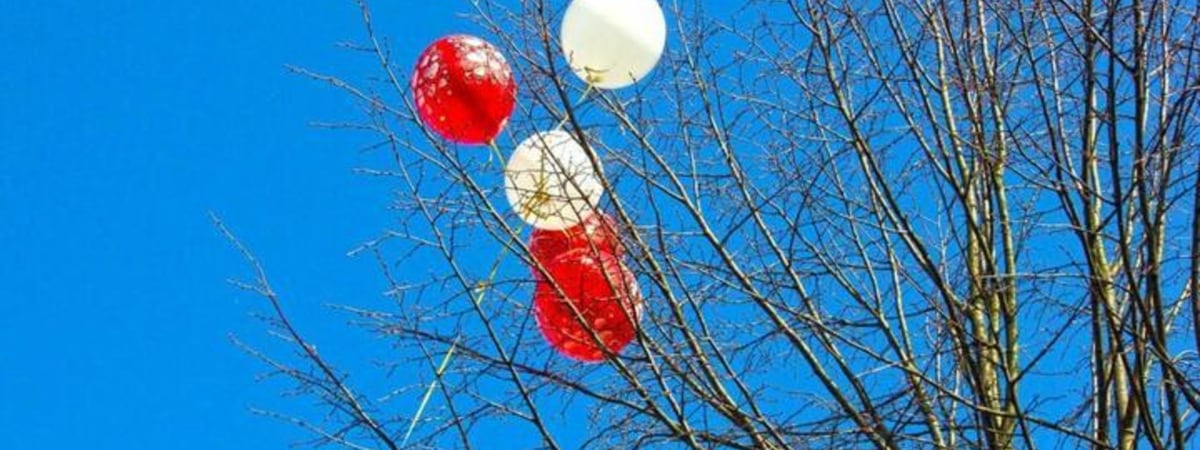 Минчанин выпустил шарики, которые ему подарили на день рождения, а те зацепились за фонарный столб. Мужчину отправили на «сутки»