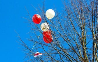 Минчанин выпустил шарики, которые ему подарили на день рождения, а те зацепились за фонарный столб. Мужчину отправили на «сутки»