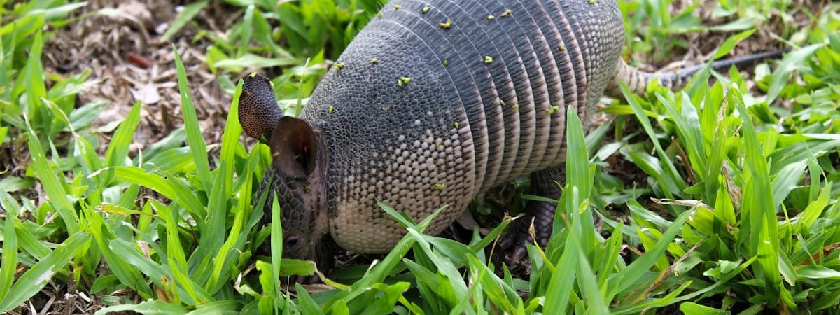В Эстонии рассматривают создание военного завода для производства боеприпасов
