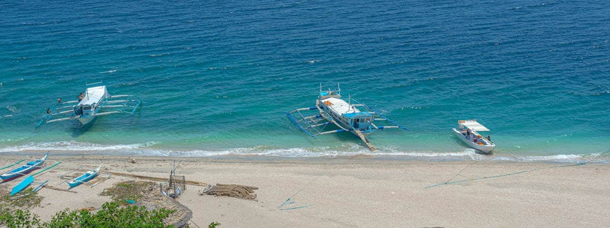 День кошек, лентяев и подаренных кабачков. Какие праздники могут отметить белорусы на этой неделе? — Фото