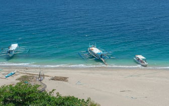 День кошек, лентяев и подаренных кабачков. Какие праздники могут отметить белорусы на этой неделе? — Фото