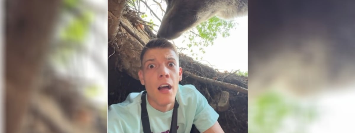 Блогер показал, как залез в берлогу к медведю и оказался «на грани жизни». Пользователи засомневались — Видео