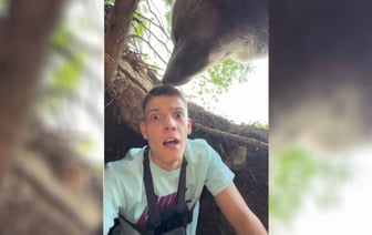 Блогер показал, как залез в берлогу к медведю и оказался «на грани жизни». Пользователи засомневались — Видео