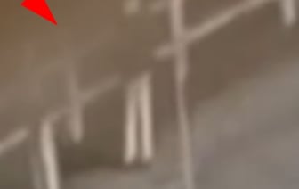 Инцидент с забором в Бресте