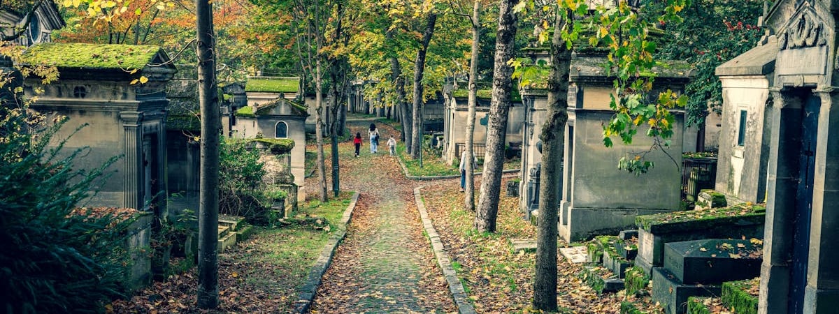 Франция проигнорирует климатический саммит в Азербайджане