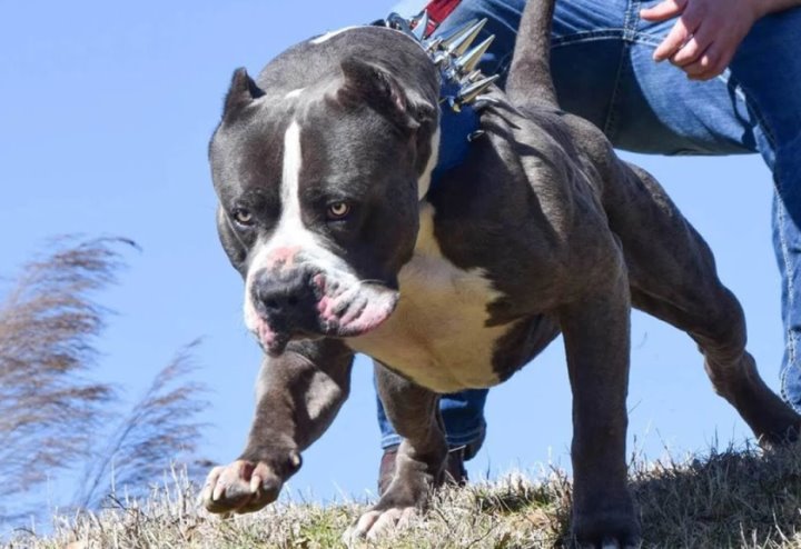 Фото из открытых источников (иллюстративное)