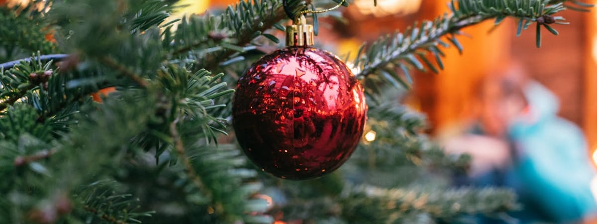 Германия установила рекорд потребления электроэнергии из "зеленых" источников – 54%