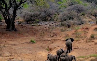 Список крупнейших городов Беларуси: Полоцк и Новополоцк