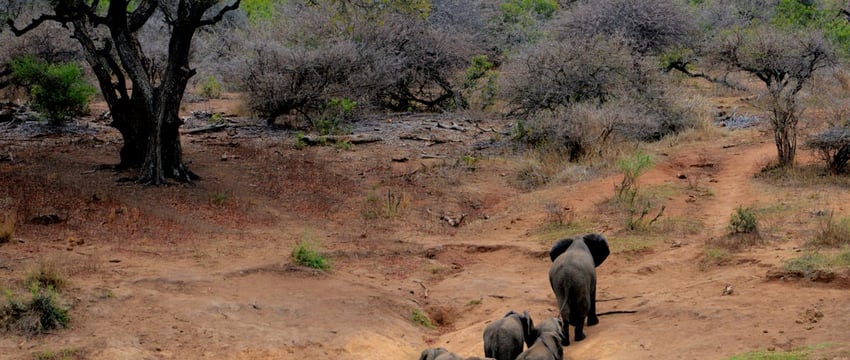 Список крупнейших городов Беларуси: Полоцк и Новополоцк