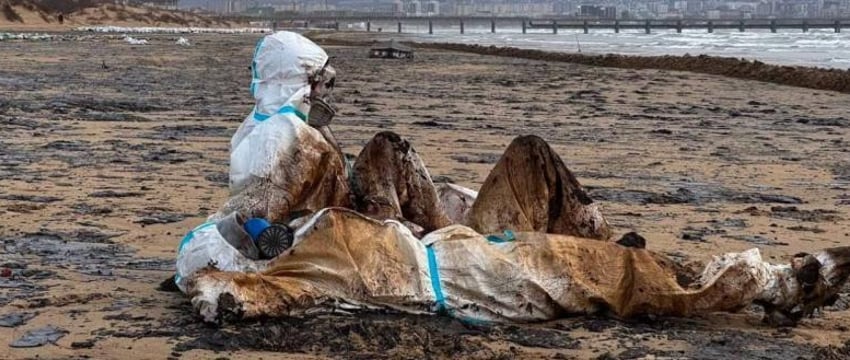 Разлив мазута в Черном море признали ЧС федерального уровня