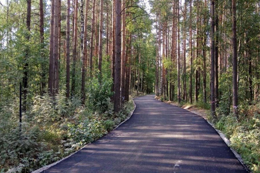 Фото из открытых источников (иллюстративное)