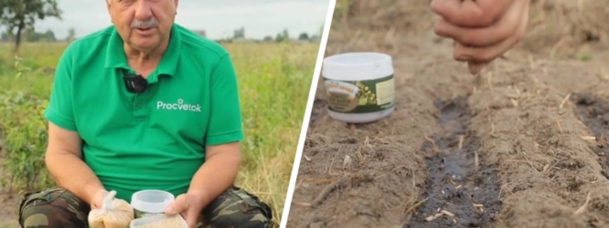 «Не оставляйте грядки пустыми» — Эксперт рассказал, что посадить на месте собранных овощей, чтобы потом не менять их местами — Полезно