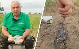 «Не оставляйте грядки пустыми» — Эксперт рассказал, что посадить на месте собранных овощей, чтобы потом не менять их местами — Полезно