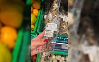 «Ну и кто их купит?» — В белорусских магазинах нашли грибы по 500 рублей за кило — Видео