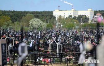 Под Гомелем проектируют новое кладбище с крематорием