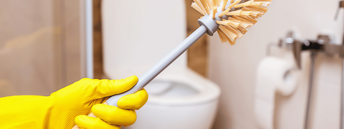 Как часто нужно чистить туалетный ёршик? Эксперт рассказала, что делать, чтобы не оставался мокрым — Полезно