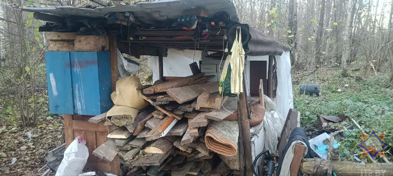 В Браславском районе на пожаре погибла 56-летняя женщина, которая жила в самодельной хижине в лесу. Фото МЧС