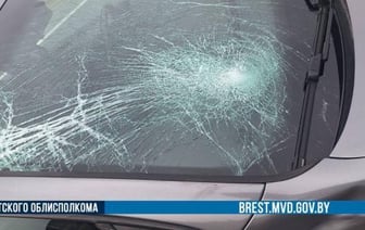 Volkswagen сбил подростка на трассе в Брестском районе