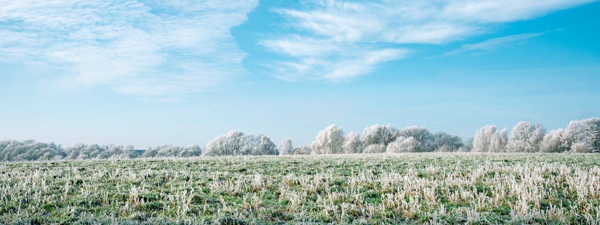 Власти Беларуси решили усовершенствовать работу ЕРИП