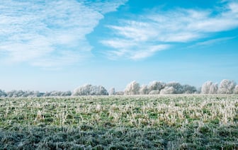 Власти Беларуси решили усовершенствовать работу ЕРИП