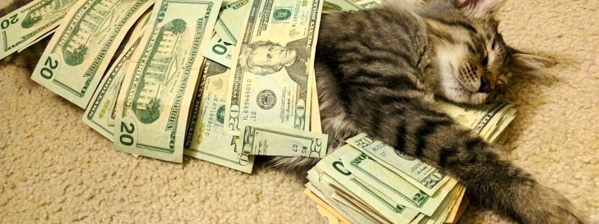 Доллар в Беларуси вырос на 0,15%, а российский рубль побил рекорд за 3,5 месяца. Что с евро?