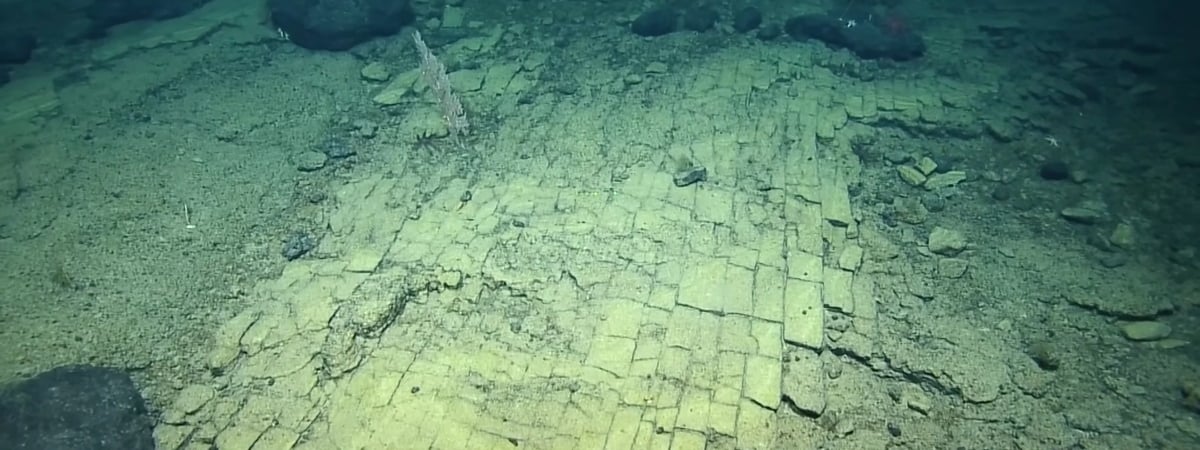 Страна Оз существует? Вот что за «желтую кирпичную дорогу» нашли ученые на дне Тихого океана — Видео