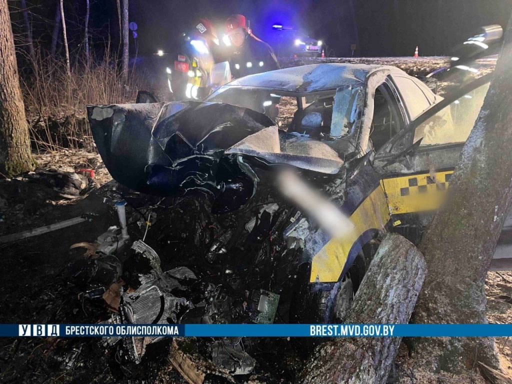 В Брестской области такси въехало в дерево