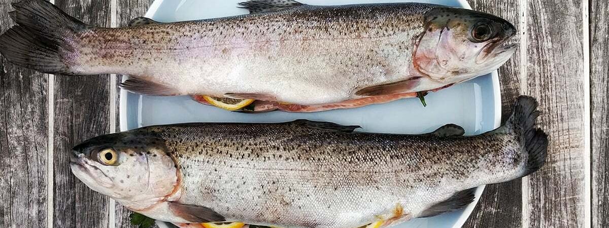 Как разморозить рыбу быстро и правильно? Рассказываем… — Полезно