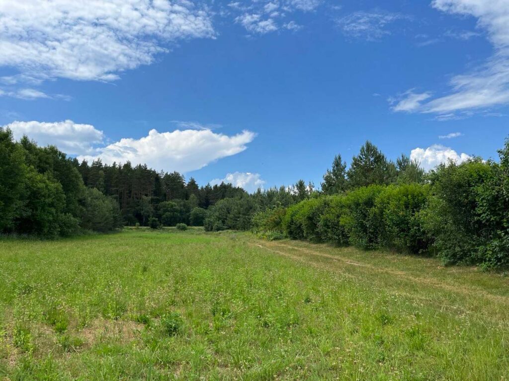 Бежали из леса втроем как ошпаренные. В Борисовском районе медведи начали выходить к людям