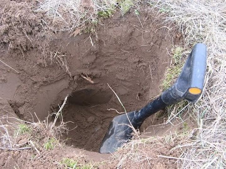 Фото из открытых источников (иллюстрация)