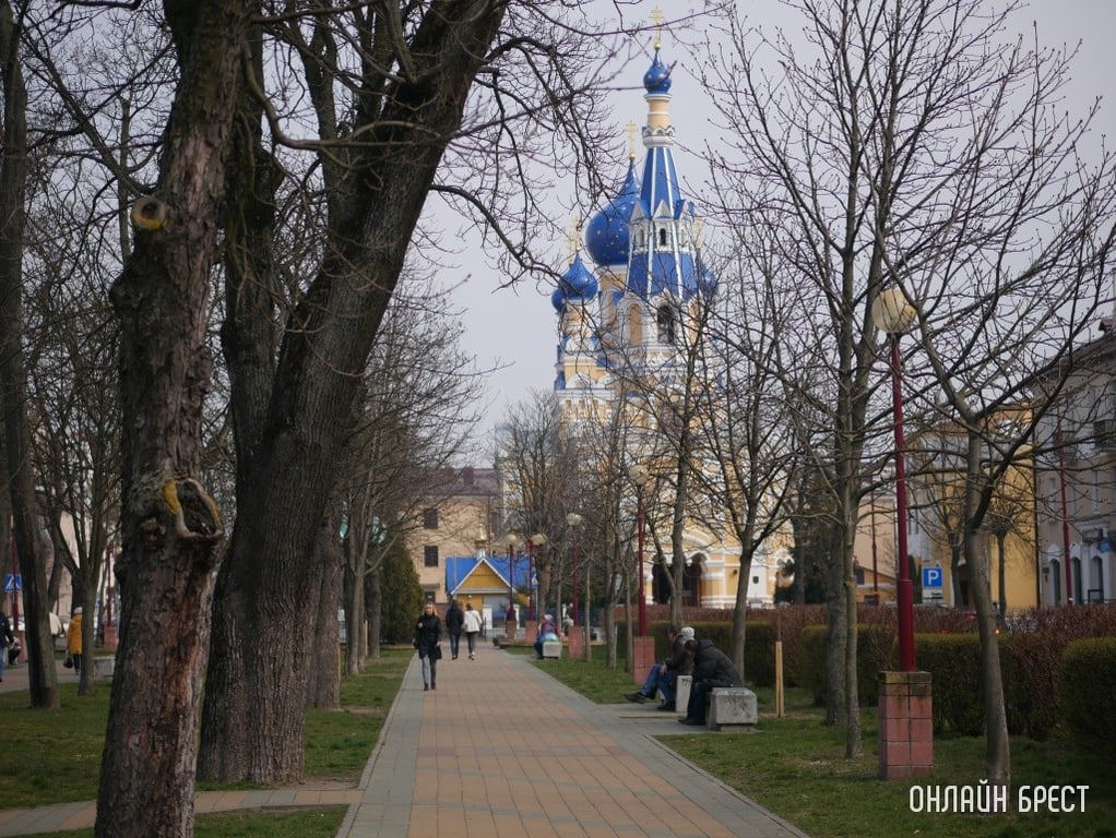 Фото носит иллюстративный характер