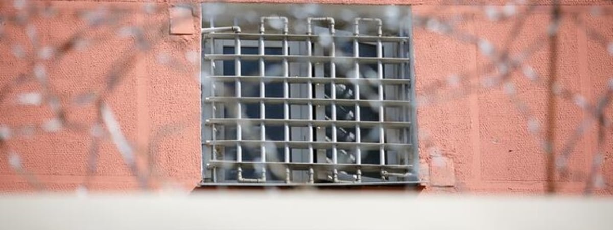 Эйсмонт заявила, что амнистированных ждет «железный контроль»