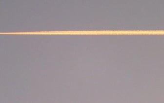 Латвия подняла истребители НАТО из-за стаи птиц из Беларуси