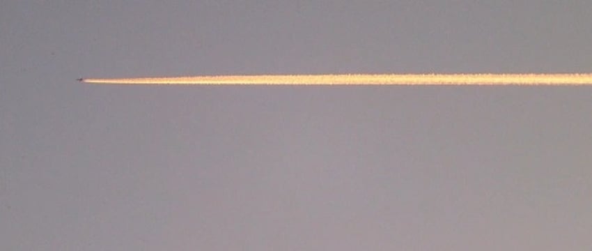 Латвия подняла истребители НАТО из-за стаи птиц из Беларуси