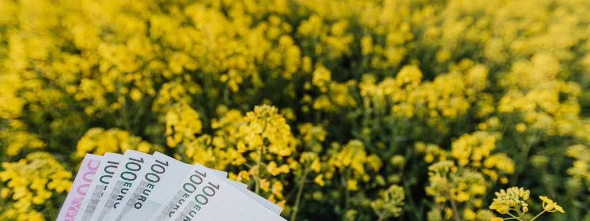 Производство сельхозпродукции в Беларуси в I полугодии увеличилось на 10,2%