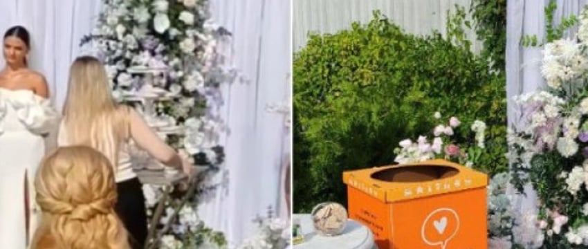 Пара попросила гостей не приносить на свадьбу цветы. Вот что дарили взамен букетов