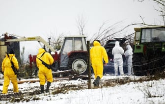 Беларусь запретила импорт продукции животноводства из Германии из-за вспышки ящура